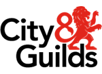 Electrical qualification logo